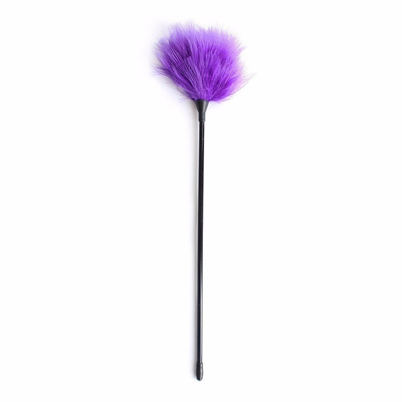 Slave Tickler